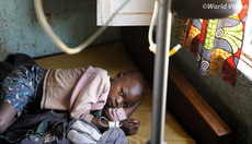 Thumbnail_malaria3thumb