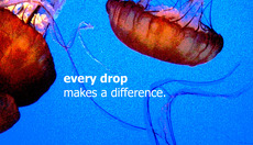 Thumbnail_jellyfish