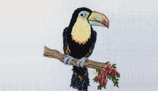 Thumbnail_thirstytoucan1b