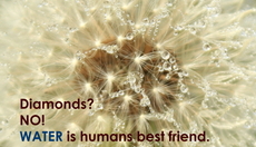 Thumbnail_diamonds._no._water_is_humans_best_friend_thumb