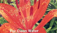 Thumbnail_dsci0869-1