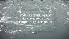 Thumbnail_thewave