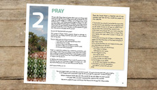 Thumbnail_prayweek-image