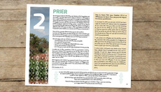 Thumbnail_prayweek-image_fr_