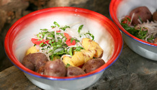 Thumbnail_plate3