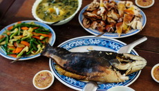 Thumbnail_fish2