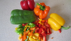 Thumbnail_img_9205