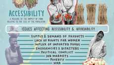 Thumbnail_hungerfree_infographic3
