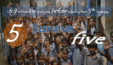 Thumbnail_survive_5